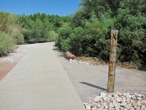 Clark County Wetlands Park