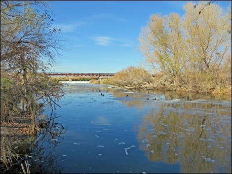 Clark County Wetlands