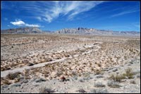 Mojave Desert Wash