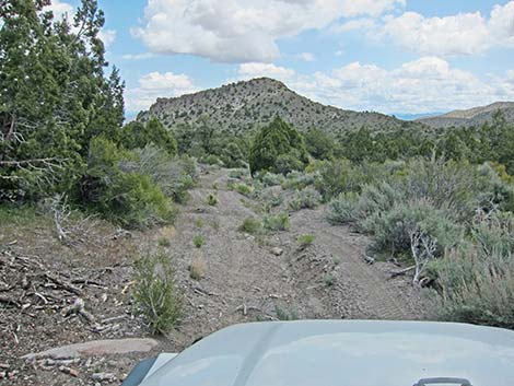 4WD Dirt Roads