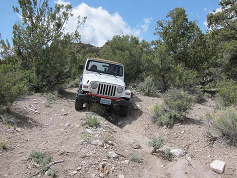 4WD Dirt Roads