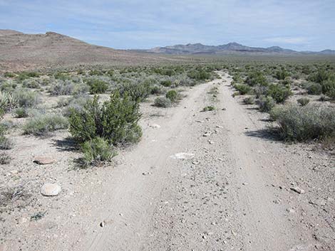 Two-Track Dirt Road