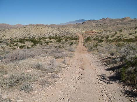 2WD (two-wheel-drive) Dirt Roads