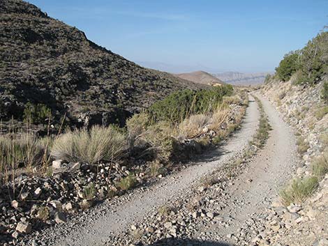 2WD (two-wheel-drive) Dirt Roads