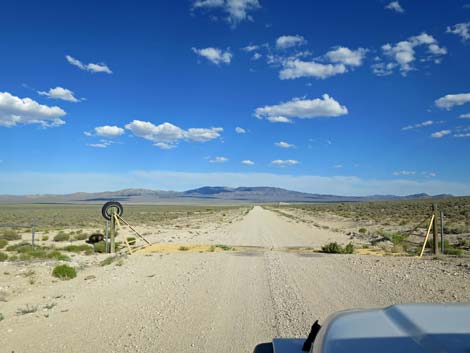 Cattle Guard