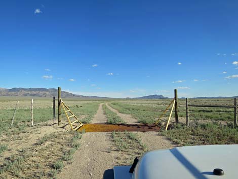 Cattle Guard