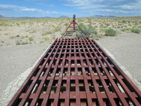 Cattle Guard