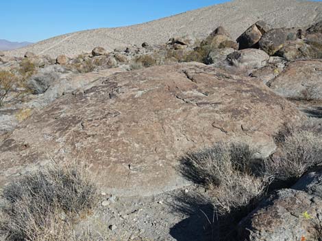 Ash Springs Petroglyph