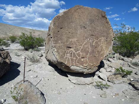 Ash Springs Rock Art Site