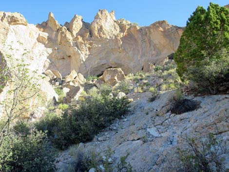 Rainbow Canyon Rock Art