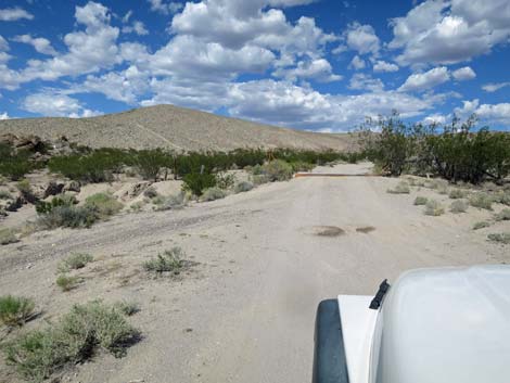 Ash Springs Rock Art Site Road