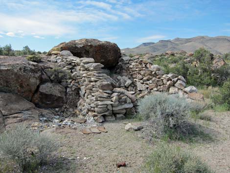 Crystal Wash Shepherd Camp