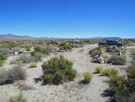 Crystal Wash Shepherd Camp