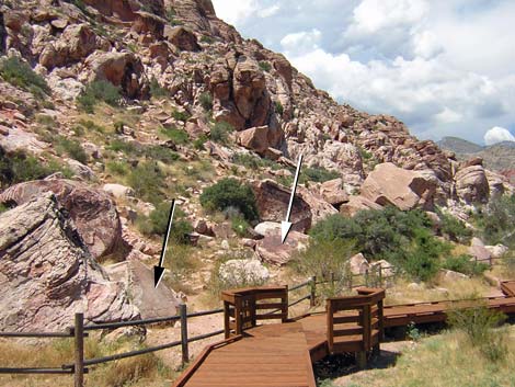 Calico Basin