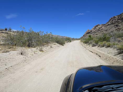 Christmas Tree Pass Road