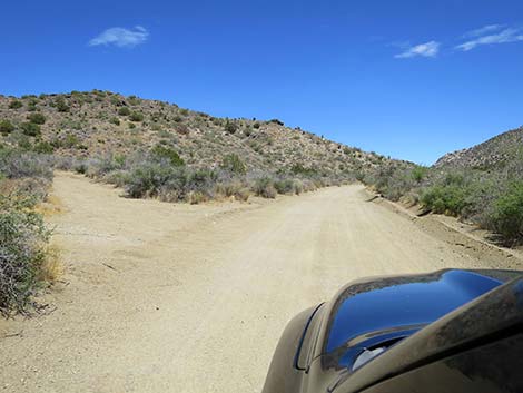 Christmas Tree Pass Road