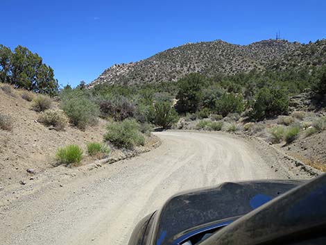 Christmas Tree Pass Road