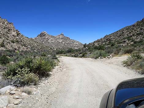 Christmas Tree Pass Road