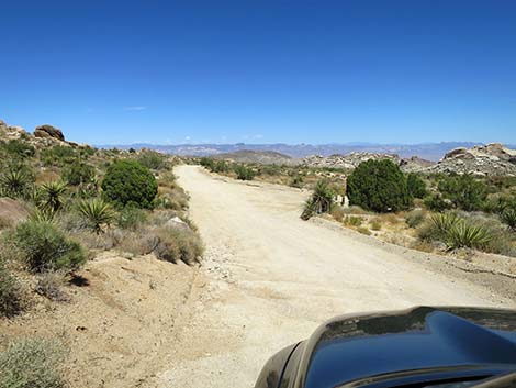 Christmas Tree Pass Road