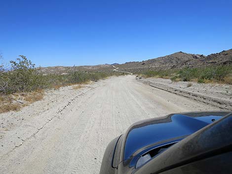 Christmas Tree Pass Road