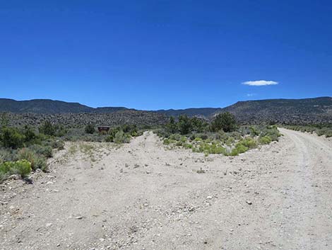 Logan Canyon Campsite