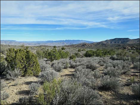 Paiute Rock