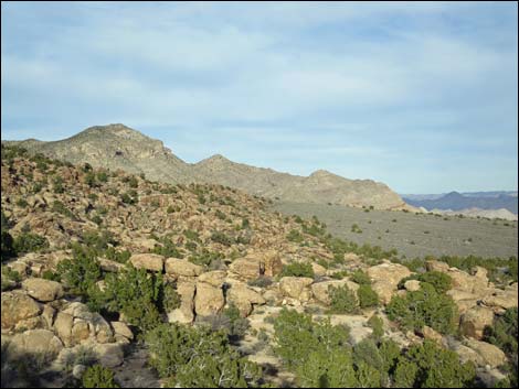 Paiute Rock