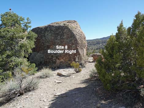 Paiute Rock Site 8