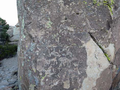 Site 8; left boulder petroglyphs (view N)