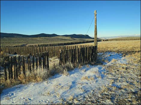 Timber Mountain Pass Road