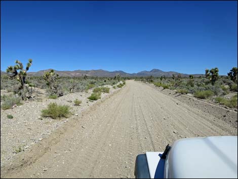 Badger Valley Road