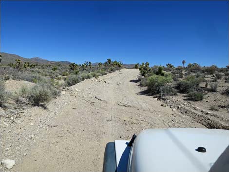 Badger Valley Road