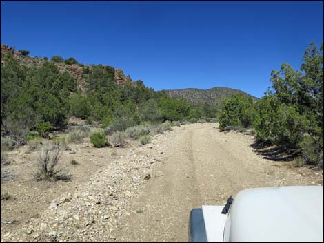 Badger Valley Road