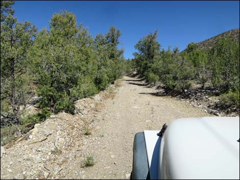 Badger Valley Road