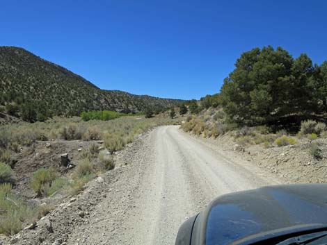 Cherry Creek Road