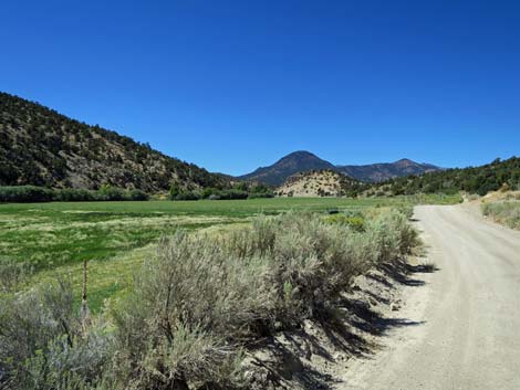 Cherry Creek Road