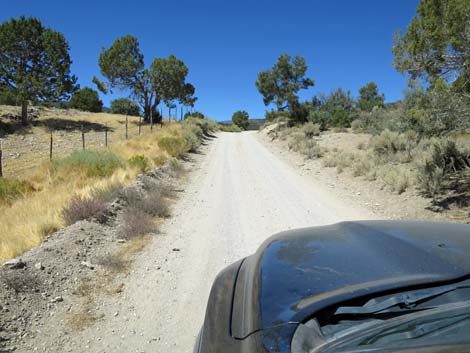 Cherry Creek Road