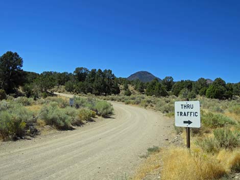 Cherry Creek Road