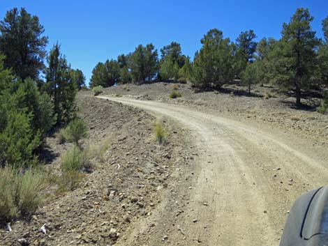 Cherry Creek Road