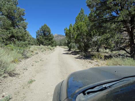 Cherry Creek Road