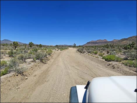 Curtis Canyon Road