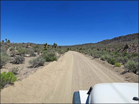 Curtis Canyon Road