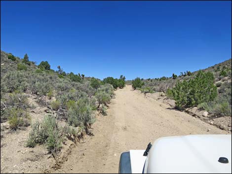 Curtis Canyon Road