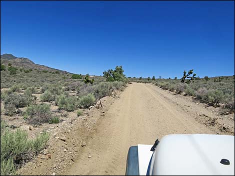 Curtis Canyon Road