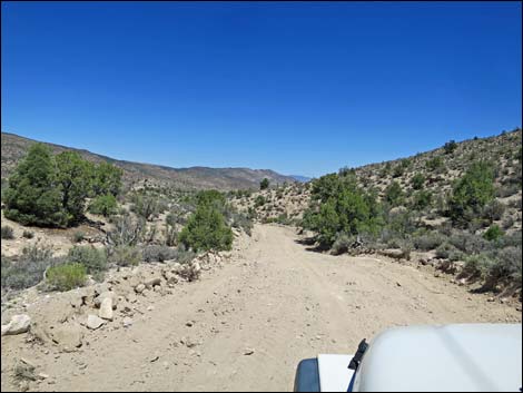 Curtis Canyon Road