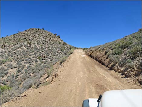 Curtis Canyon Road