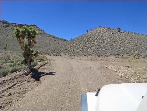 Curtis Canyon Road