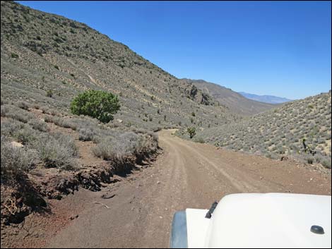 Curtis Canyon Road