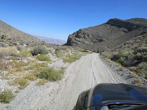 Curtis Canyon Road