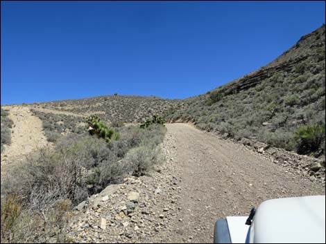 Curtis Canyon Road